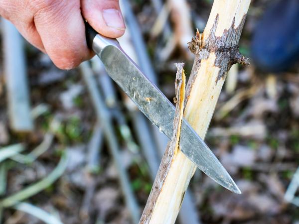 Survival Knife Carving Wood