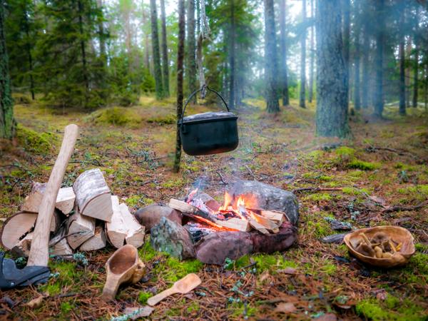 Bushcraft campfire