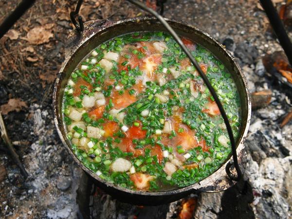 Campfire Stew